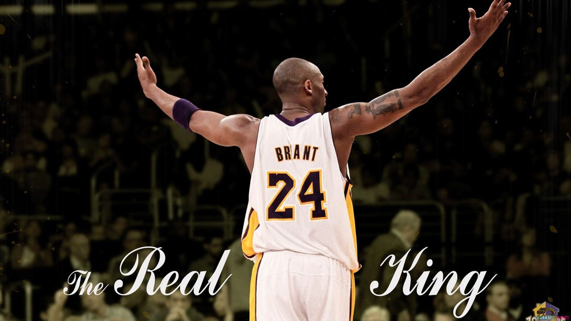 篮球场馆智能化运营管理提升效率，篮球场运营管理方案